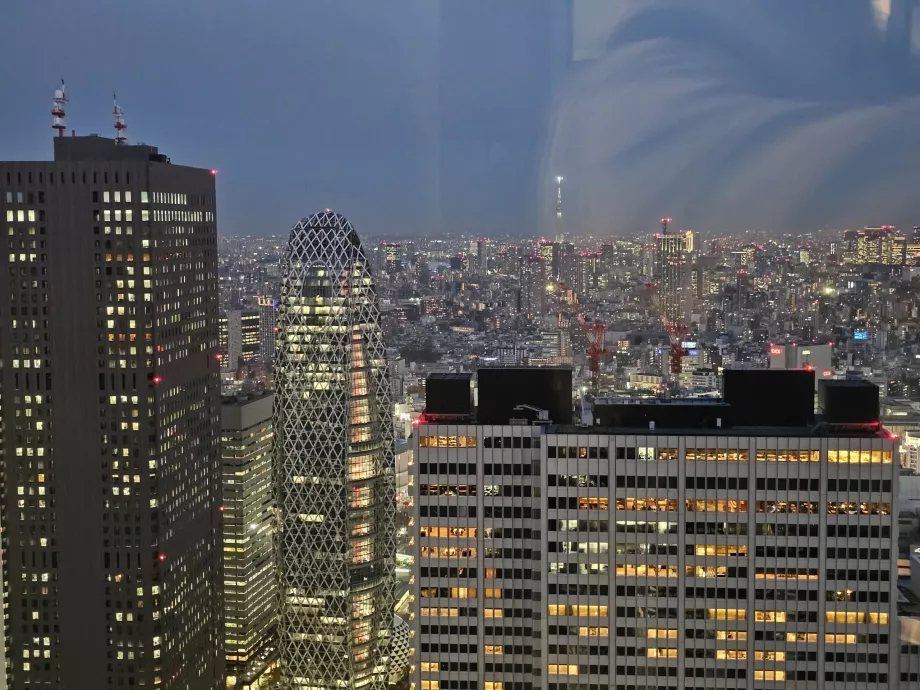 Budynek rządu metropolitalnego Tokio