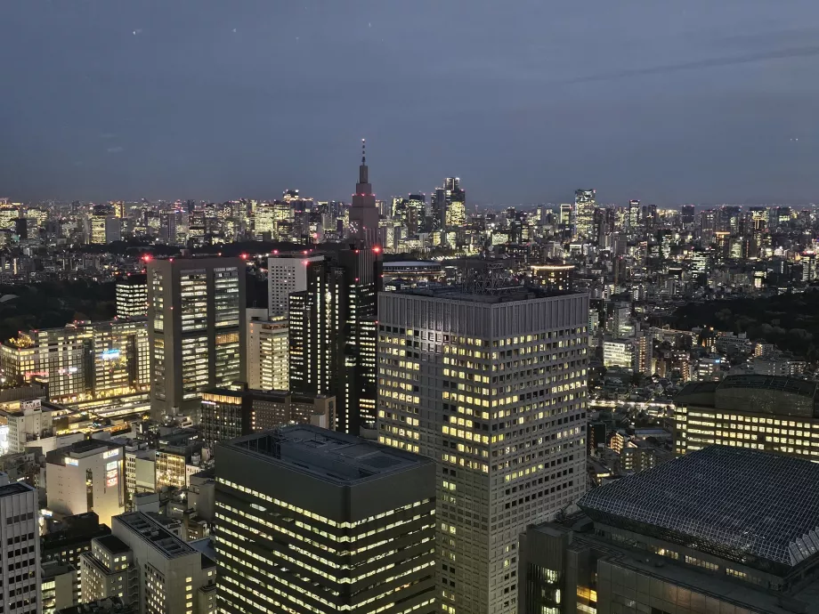 Budynek rządu metropolitalnego Tokio