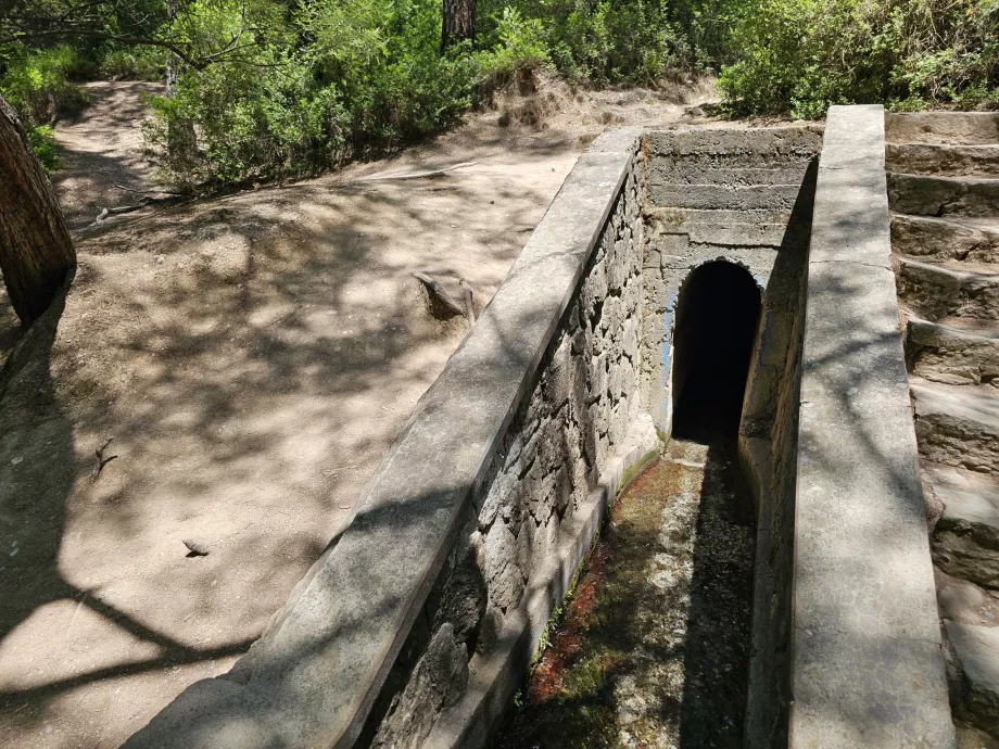 Tunel w Seven Springs