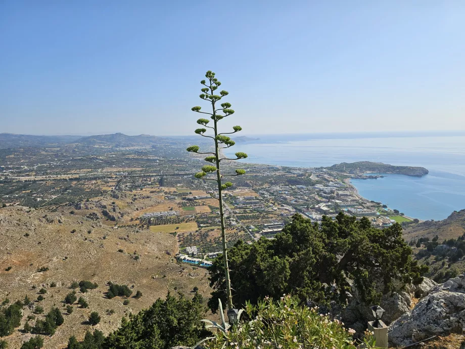 Widok z klasztoru Matki Boskiej na kurort Kolymbia