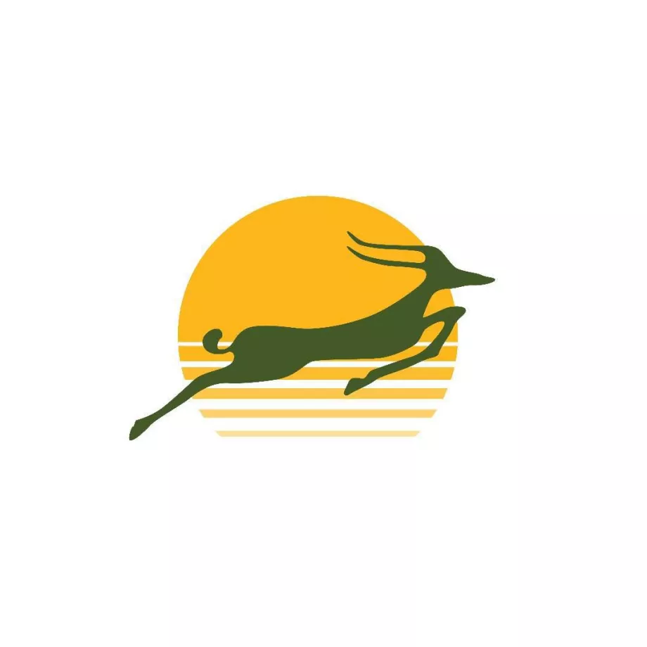 Logo Precision Air