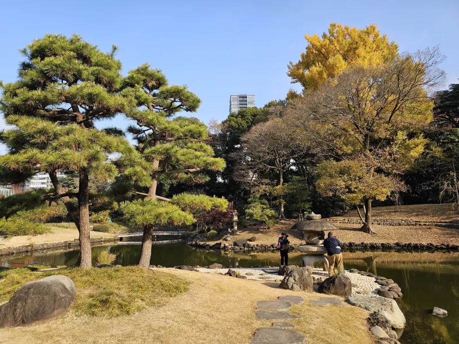 Ogród narodowy Shinjuku Gyoen