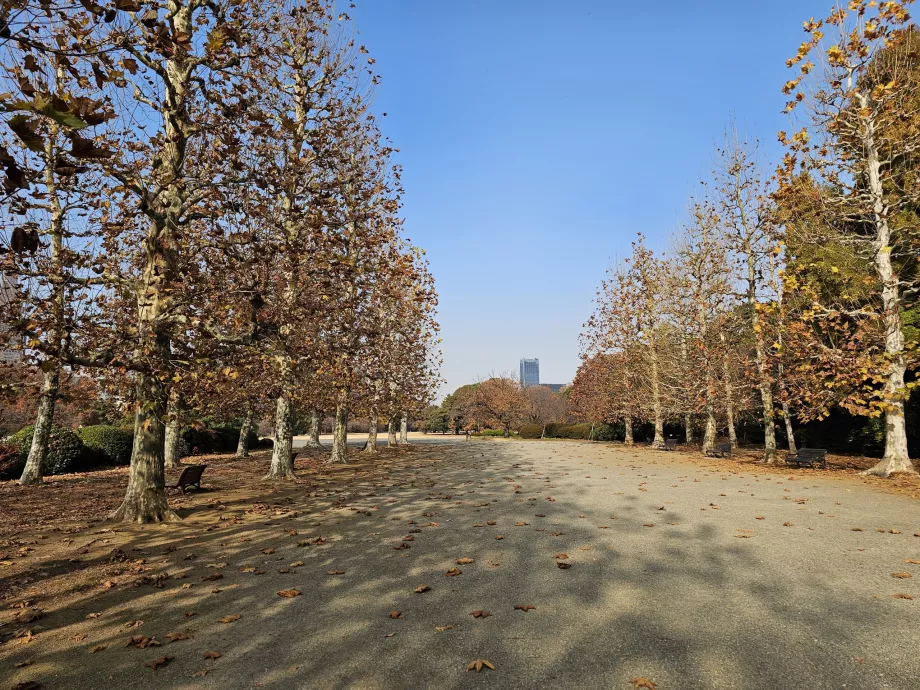 Ogród Narodowy Shinjuku Gyoen