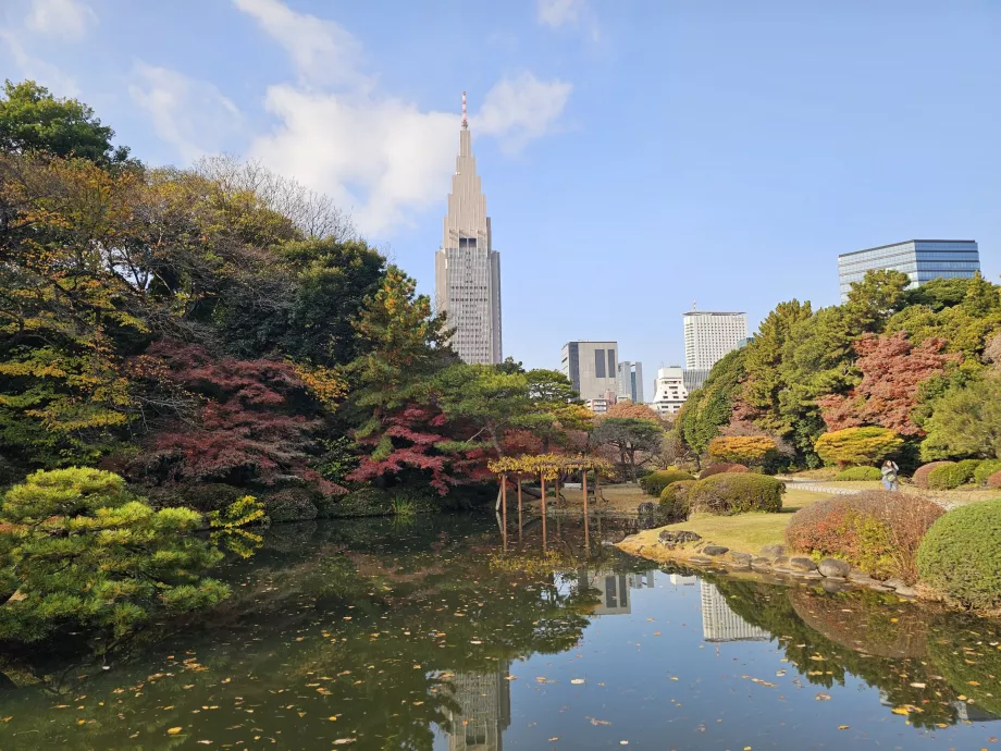 Ogród Narodowy Shinjuku Gyoen
