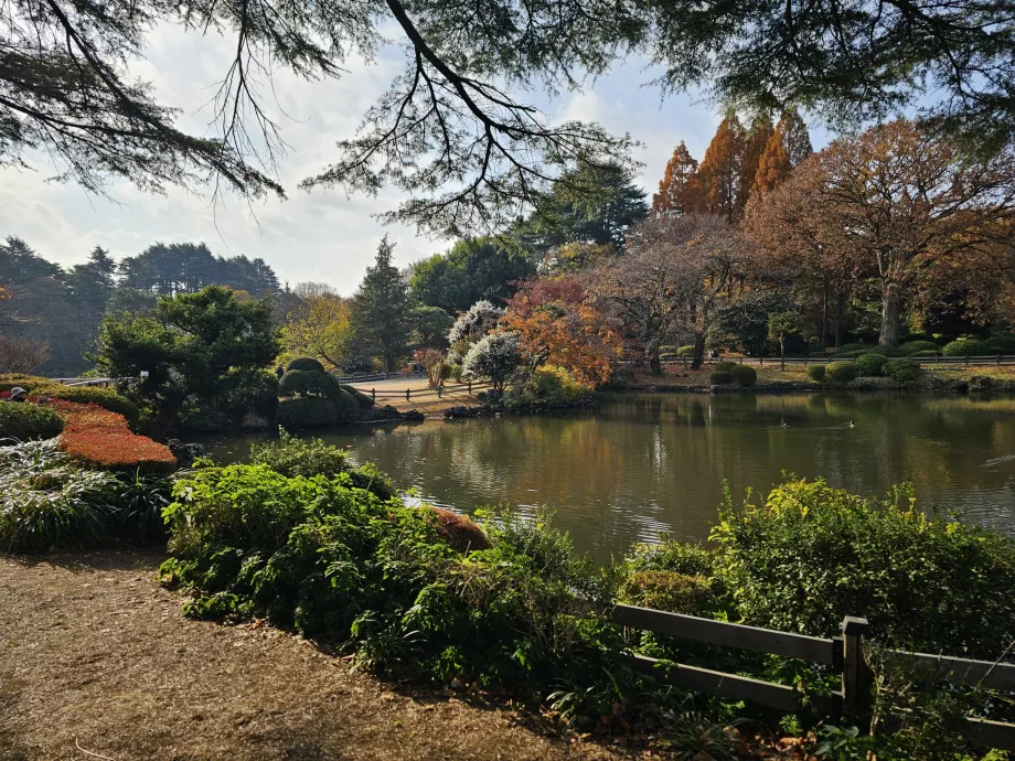 Ogród narodowy Shinjuku Gyoen