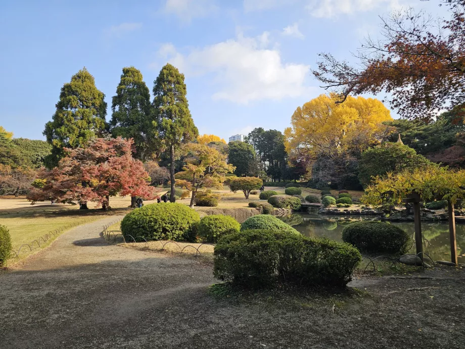 Ogród narodowy Shinjuku Gyoen