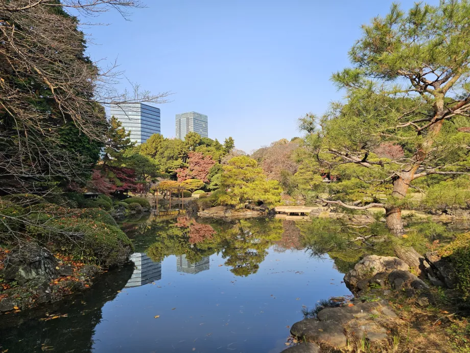 Ogród narodowy Shinjuku Gyoen