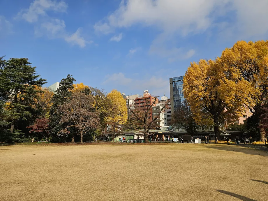 Ogród narodowy Shinjuku Gyoen