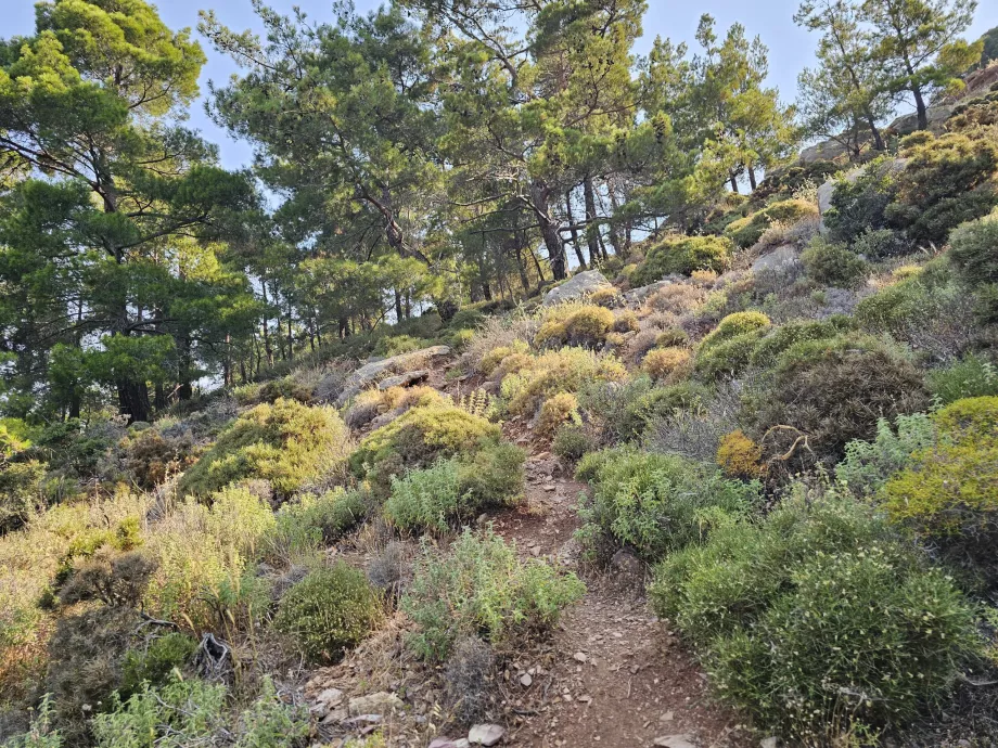 Turystyka Rodos