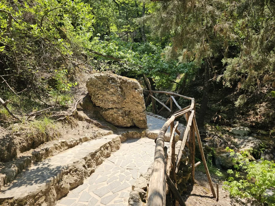 Dolina motyli
