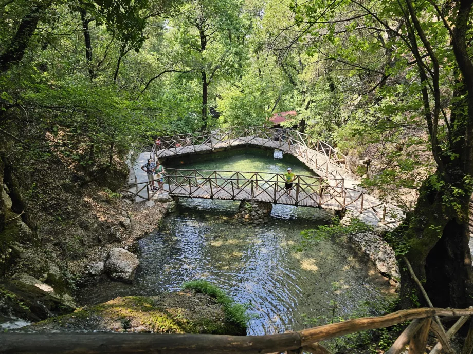 Dolina motyli
