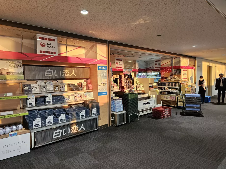 Minimarket JAL Plaza, krajowa strefa tranzytowa