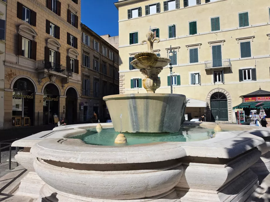 Campo de' Fiori, fontanna