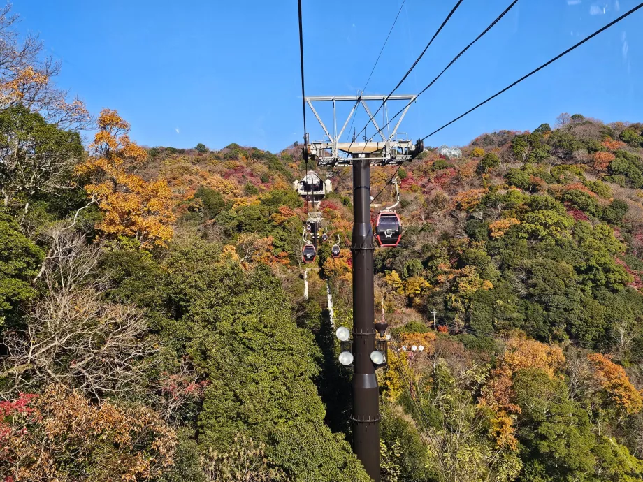 Widok z kolejki linowej
