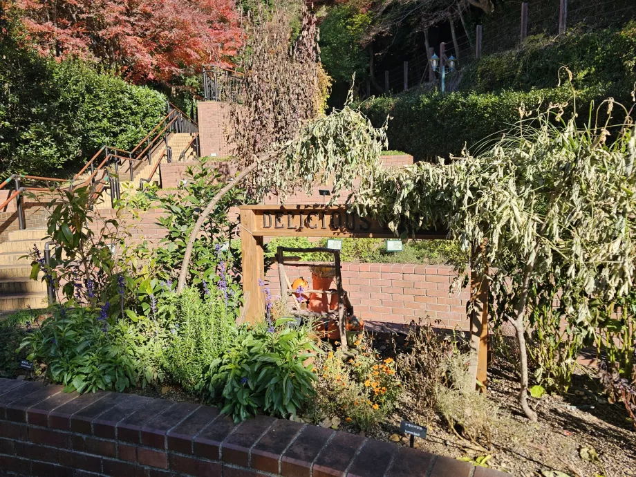 Ogrody ziołowe Nunobiki