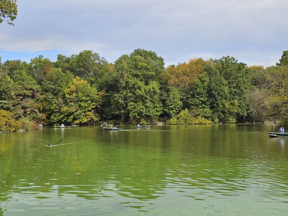 Jezioro w Central Parku