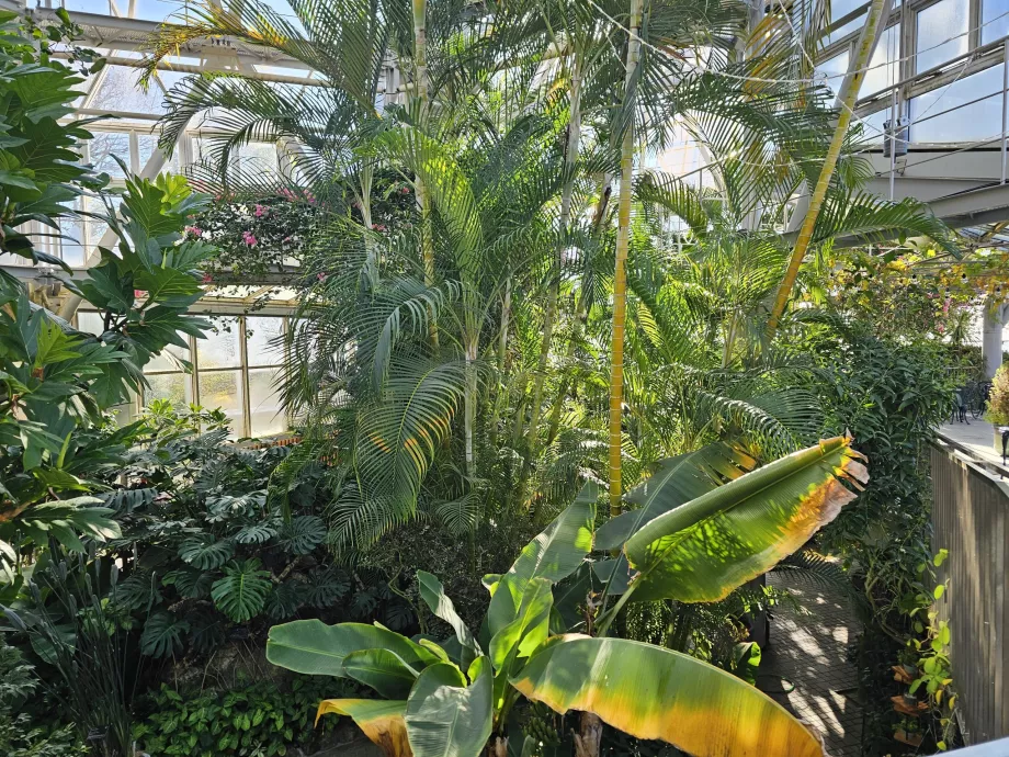 Szklarnia w ogrodzie ziołowym Nunobiki