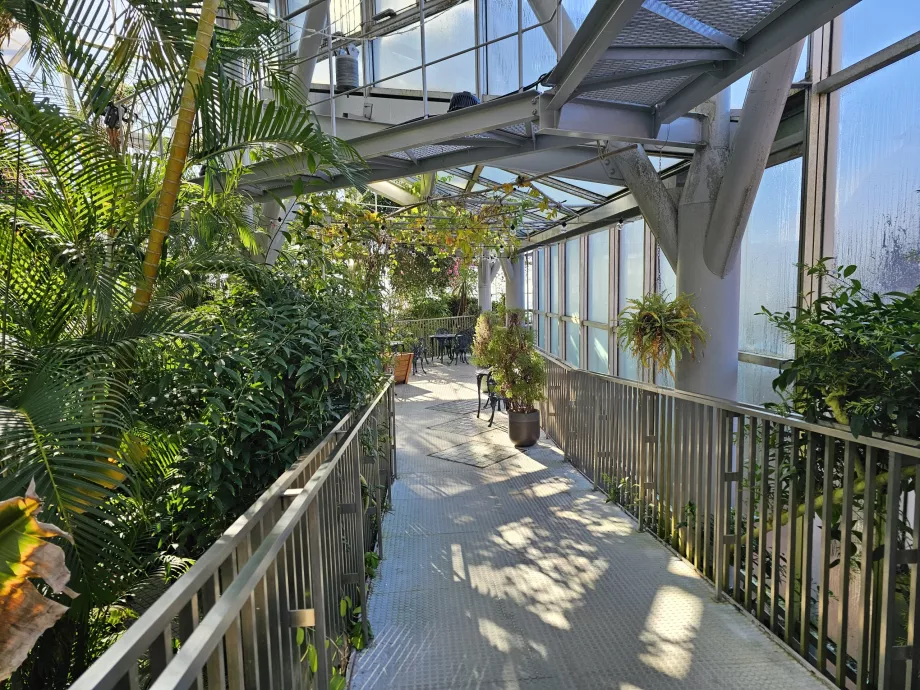 Szklarnia w ogrodzie ziołowym Nunobiki