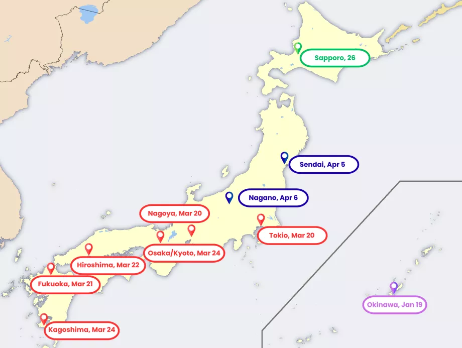 Mapa kwitnienia sakury