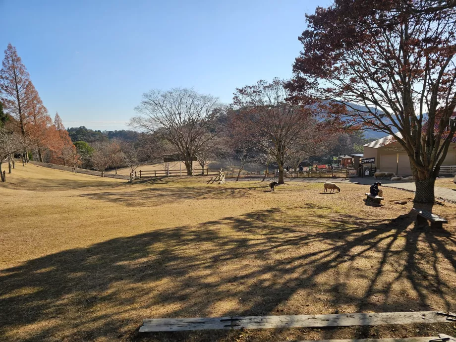 Rokkosan Pasture
