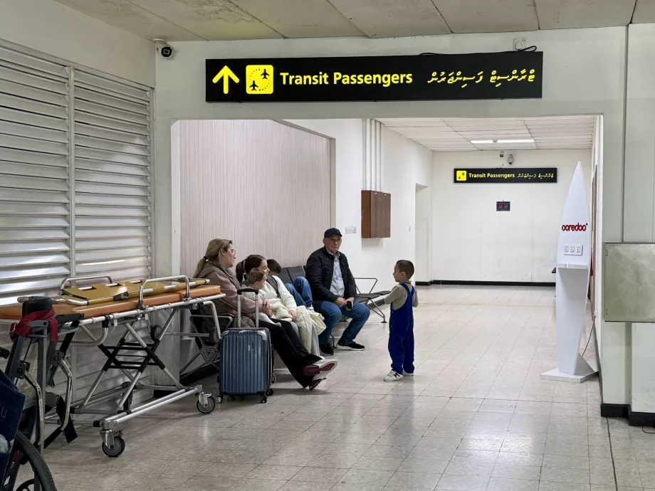 Transit Small MLE