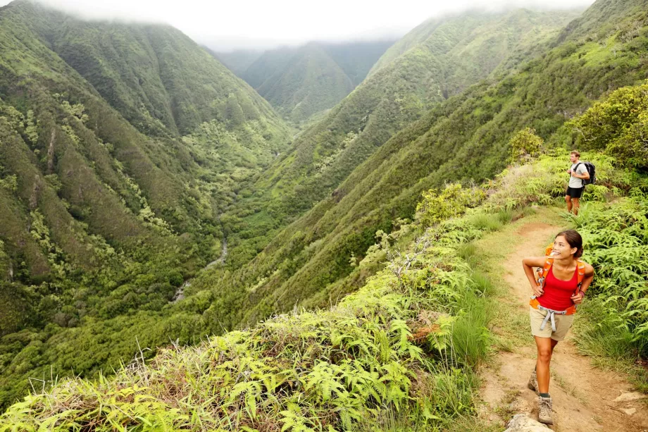 Szlak Waihee Ridge