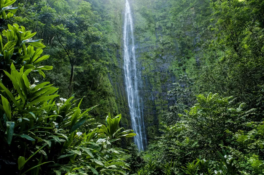 Wodospad Waimoku