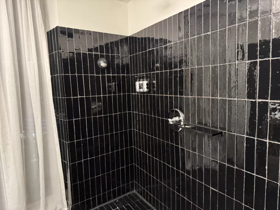 Tylko głowica prysznicowa