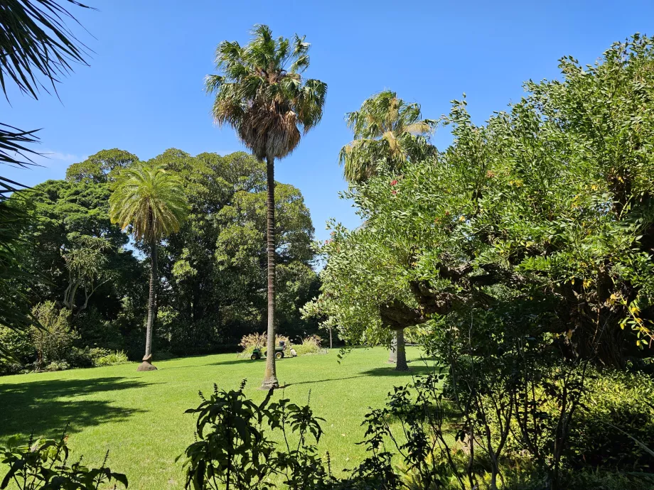 Królewskie Ogrody Botaniczne