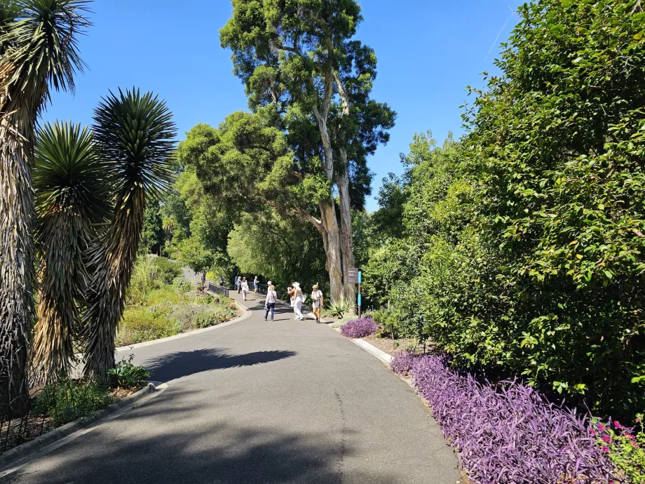 Królewskie Ogrody Botaniczne