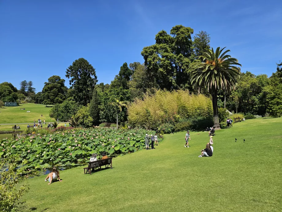 Królewskie Ogrody Botaniczne