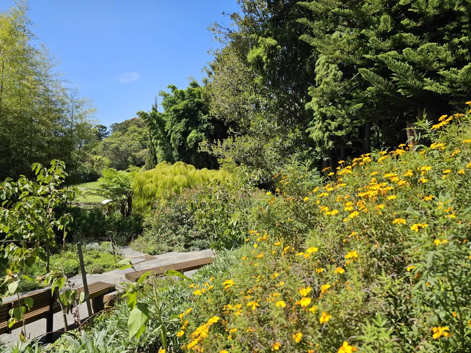 Królewskie Ogrody Botaniczne