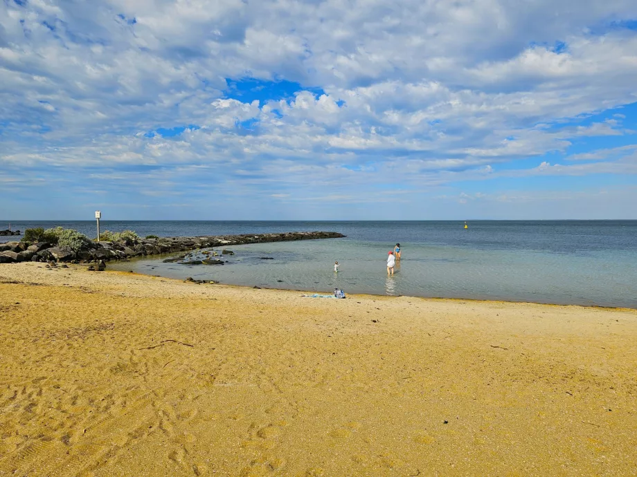 Plaża Williamstown