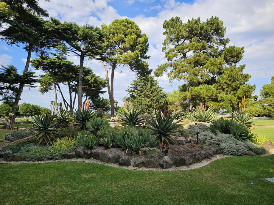 Ogród botaniczny Williamstown