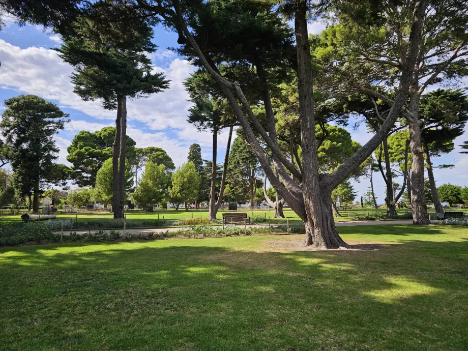 Ogród botaniczny Williamstown