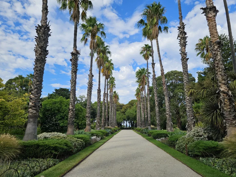 Ogród botaniczny Williamstown