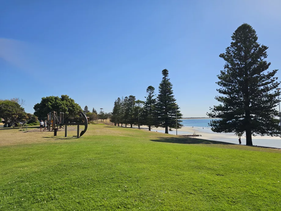 Park w Torquay