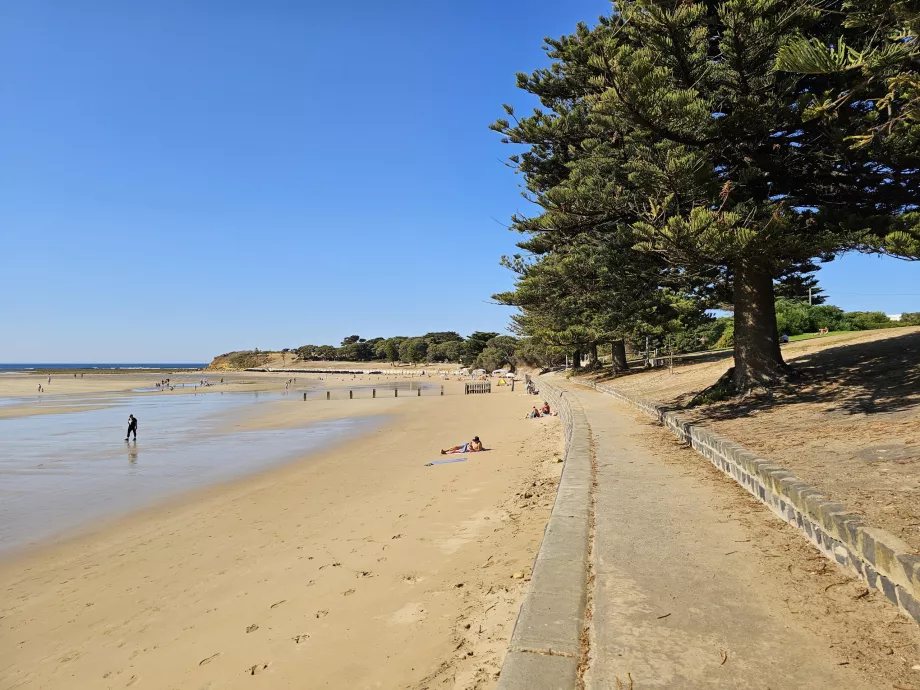 Promenada Torquay