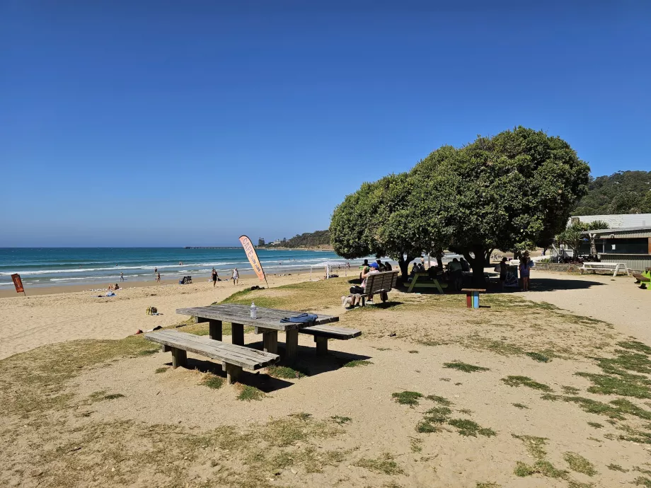 Plaża Lorne