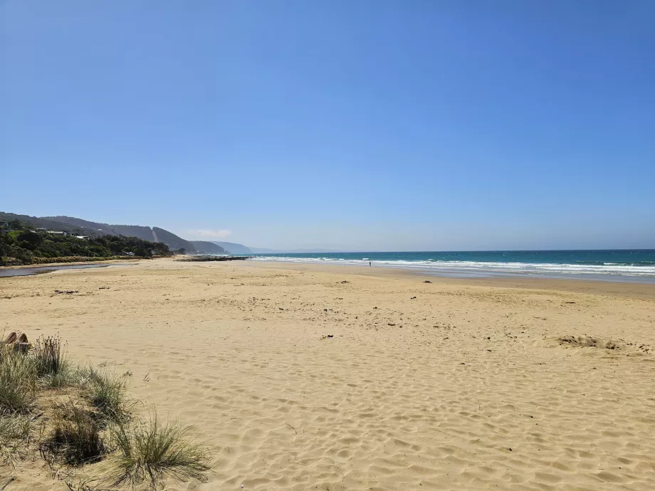 Plaża Lorne